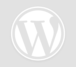 Une musique pour illustrer un site internet