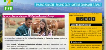 Formations en alternance métiers agricoles, secteur équestre