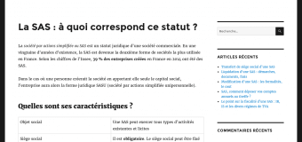 Inutile de se rendre au greffe pour créer une SAS